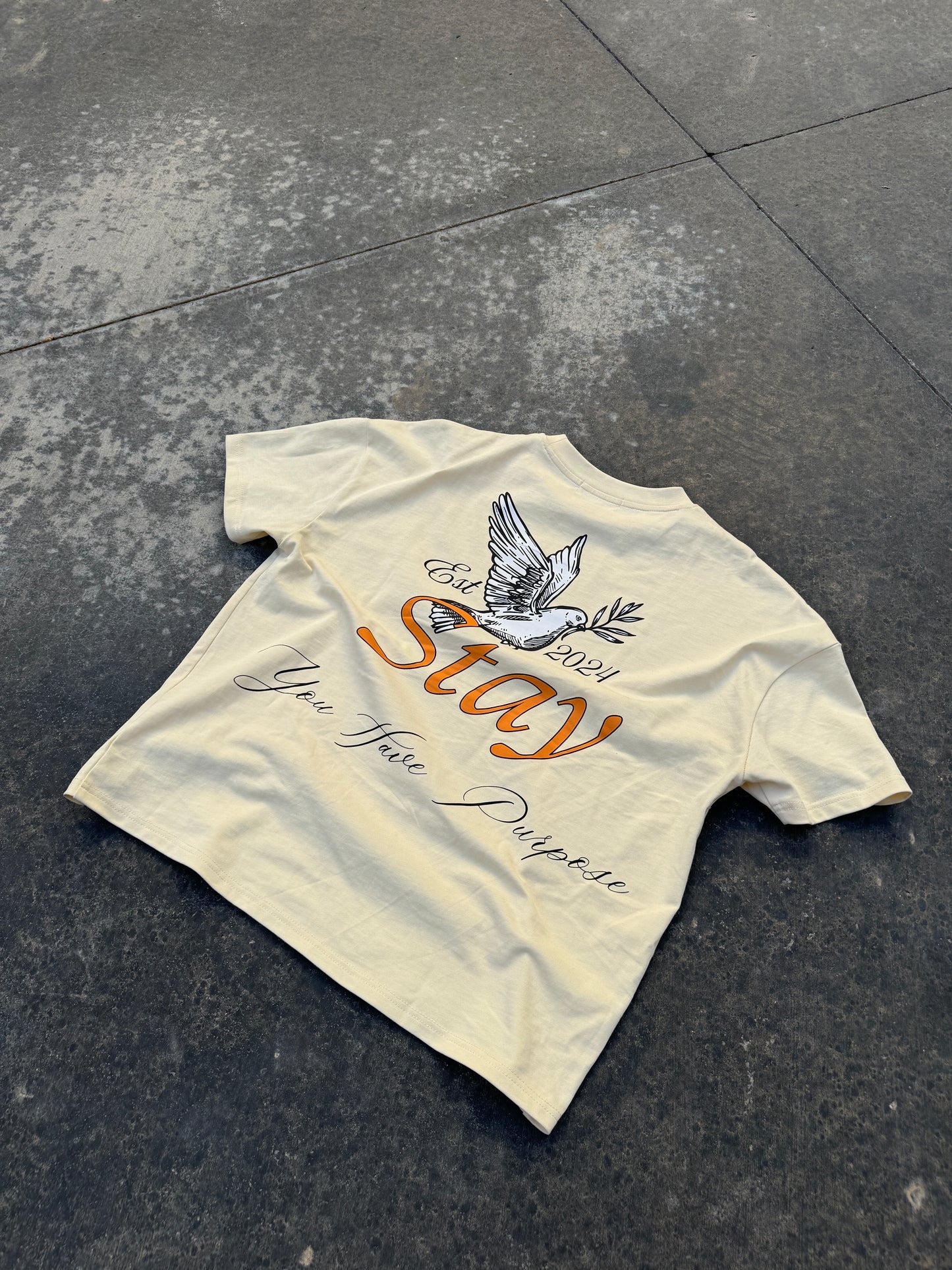 STAY Dove T-Shirt